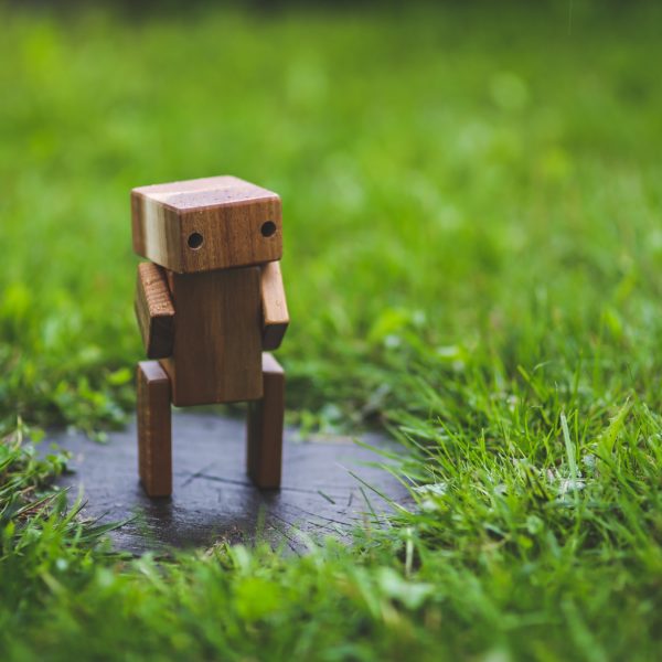 Holz-Bot im Gras / Chatbot